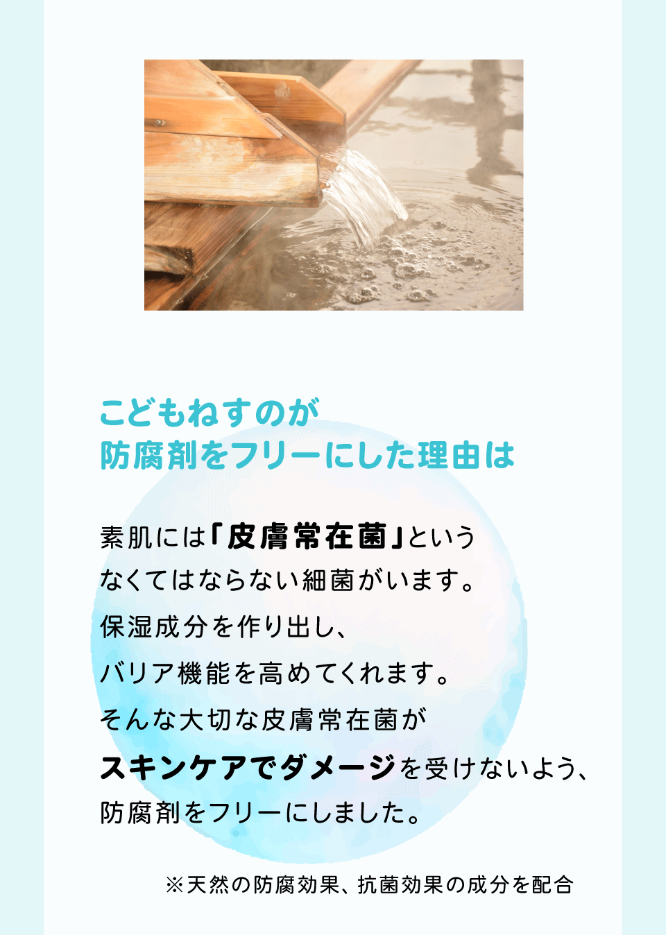 皮膚常在菌　防腐剤フリー